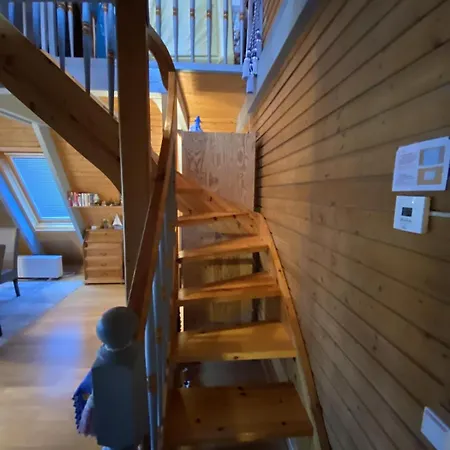 Delphin Nyaraló Damp