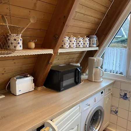 Delphin Nyaraló Damp